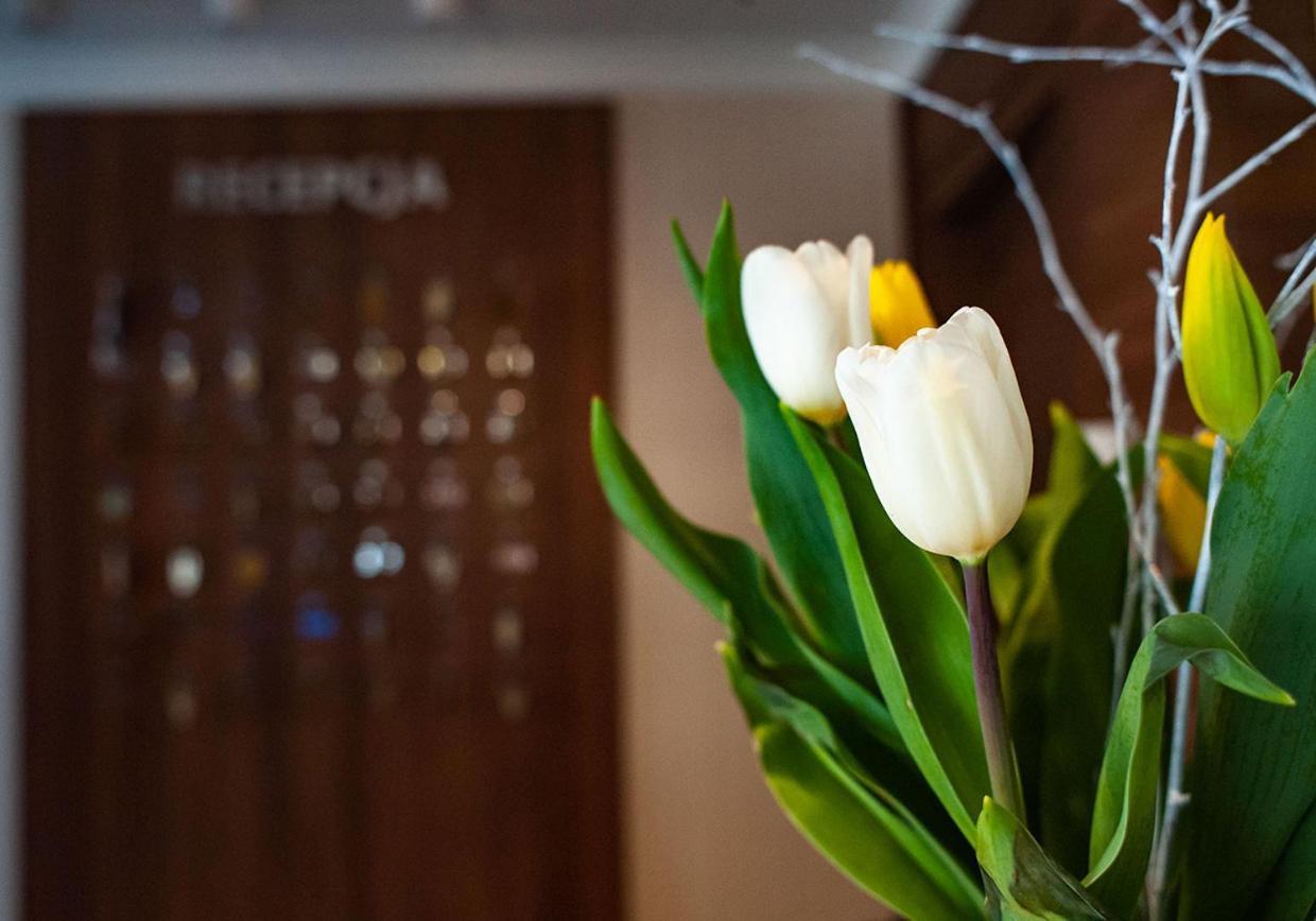 Hotel Livia Wolomin Εξωτερικό φωτογραφία